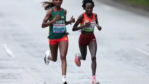 郑钦文首次登台WTA年终总决赛名单