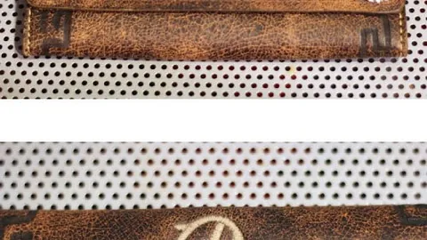 切尔西未来重点培养对象锁定恩佐与马雷斯卡